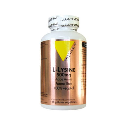 L-lysine 500 mg - 120 gélules végétales