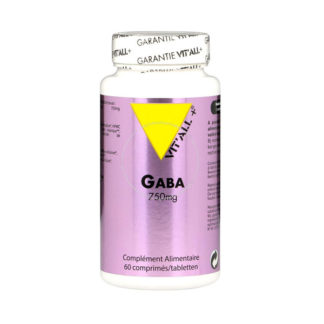 Gaba 750 mg - 60 comprimés