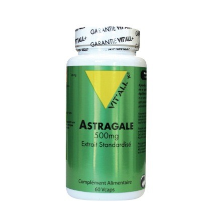 Astragale 500 mg - 60 gélules Végétales